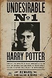 Harry Potter - Undesirable No 1 Poster 24 x 36in