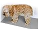 Rinse Ace Pet Bathing Mat, Tub & Shower 17' x 36'