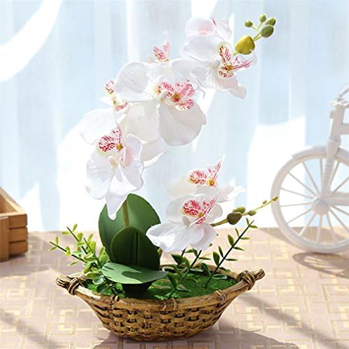 PLANTTION Vase Butterfly Orchid Flower Real Touch Leaves Artificial Plants Overall Floral For Wedding Valentine's Day Artificial Flower White1