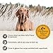 Wellness CORE+ Dry Dog Food with Freeze Dried Pieces, Grain Free, High Protein, Natural, Original Turkey & Chicken Recipe, (4-Pound Bag)