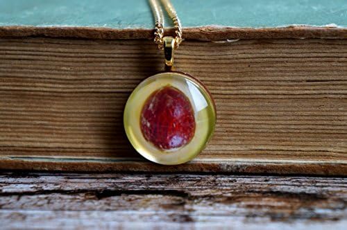 avocado lovers , cool vegan gift
