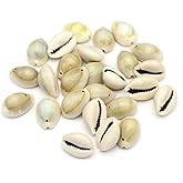Cowrie Shell Beads, White Natural Spiral Shell Beads Summer Beach Cowrie Shells for Jewelry Making DIY Craft Bracelets, Necklaces, Anklets…