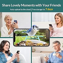 NETVUE Birdfy Lite - Smart Bird Feeder with Camera
