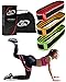 Fabric Resistance Bands Set - Booty Hip Bands for Legs, Shoulders and Arms Exercises - Perfect for Fitness, Glute or Squat Workout - 3 Non-Rolling Circle Bands for Women and Men (3 Bands Set)