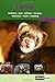 The Ferret: A Guide to Selection, Housing, Care, Nutrition, Behaviour, Health, Breeding, Species and by 