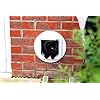 SureFlap-Cat-Flap-with-Microchip-Identification-White-4-x-AA-batteries-required SureFlap Cat Flap with Microchip Identification, White (4 x AA batteries required)