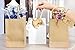 Kraft Paper Bags With Handles - Brown - 50 Piece Set - 8