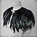 Sowder Rooster Hackle Feather Fringe Trim 5-7