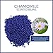 (14oz) Hair Removal Wax Beans, Hard Body Wax Beans, Hair Removal Brazilian Pearl Depilatory Wax European Beads for Women and Men - 400g (Chamomile)