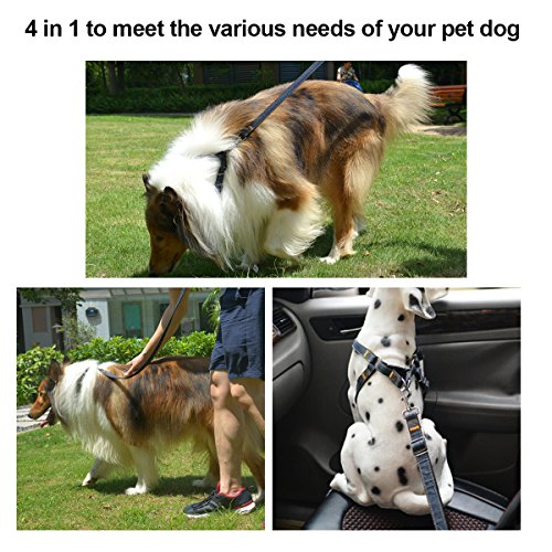 image for POWEROWL Dog Harness 4 in 1 Safety Harness Easy On/Off Adjustable No-P