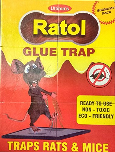 Ratol Glue Trap (New Improved Version) Insect Rodent Lizard Trap Rat Catcher Adhesive Sticky Glue Pad