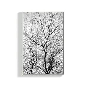 Framed Canvas Home Artwork Decoration Plants Canvas Wall Art for Living Room, Bedroom - 16x24 inches
