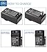 BM Premium 2 Pack of DMW-BCM13E Batteries and Charger for Panasonic Lumix DC-TS7,DMC-FT5A, LZ40, TS5, TS6, TZ37, TZ40, TZ41, TZ55, TZ60, ZS27, ZS30, ZS35, DMC-ZS40, DMC-ZS45, DMC-ZS50 Digital Cameras