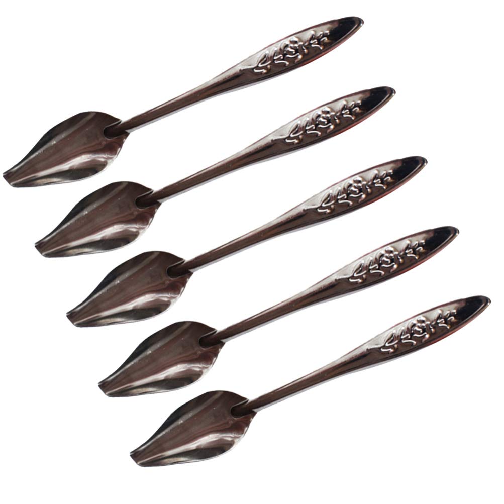 Balacoo 5pcs Bird Parrot Feeding Spoons Stainless Steel Feeding Scoops Medicine Spoons Feeding Accessories for Cockatiel Parrot Peony