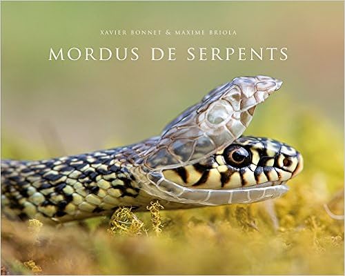 Mordus de serpents vignette