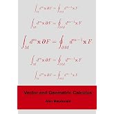Vector and Geometric Calculus (Geometric Algebra &amp; Calculus)