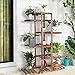 Wisfor Wooden Plant Stand for Indoor Plants, 6 Tiered Tall Plant Shelf Stand for Balcony Garden Flower Display Holder Stand