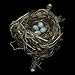 Nests: Fifty Nests and the Birds that Built Them