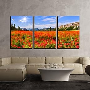 3 Piece Canvas Wall Art - Digital Artwork in Watercolor Painting Style. Blossom Field of Poppies in Spring - Modern Home Art Stretched and Framed Ready to Hang - 16"x24"x3 Panels