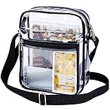 Clear Messenger Bag for Work & Business Travel for