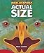 Prehistoric Actual Size