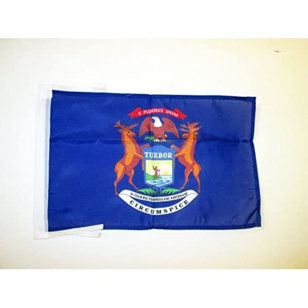 AZ FLAG - Michigan Flag - 18'' x 12'' - 100% Polyester US state of Michigan Small Banner with Two Cords - Fade Resistant - Vivid Colors - 18x12 in - 45x30 Cm โ image 1