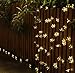 DecorNova 907036 String Lights, Warm White