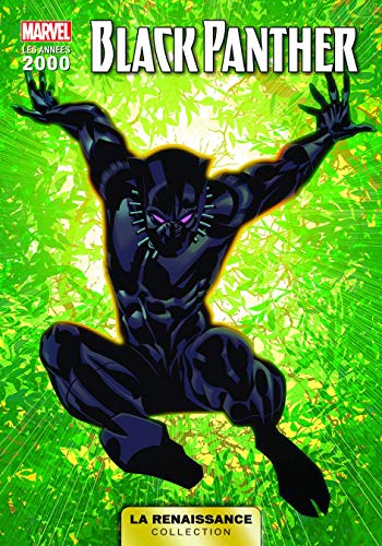 LA RENAISSANCE DES HEROS MARVEL T02 : BLACK-PANTHER