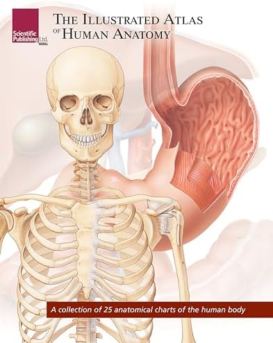 A Colour Atlas of Human Anatomy: Robert M.H. McMinn, Ralph T