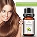 Lanthome From Morocco Argan Oil