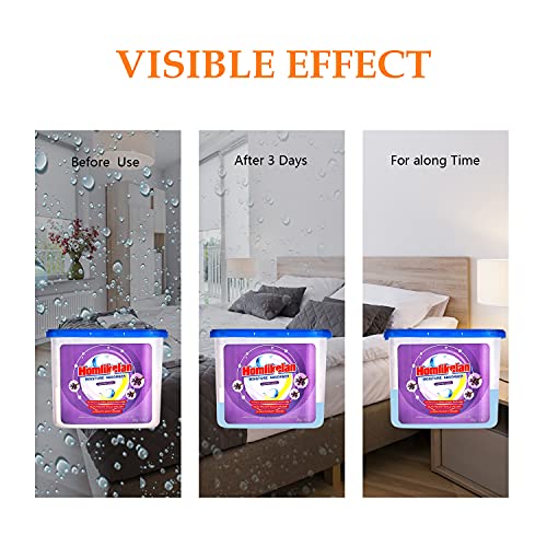 6 packs Large Moisture Absorber Boxes with Air Purification Fragrance