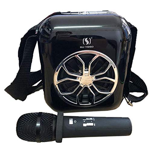 Karaoke Mini Portable Speaker with Wireless Microphone price in