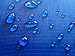 Chill Gorilla 12x12 Hammock Rain Fly Camping Tarp. Ripstop Nylon. 203