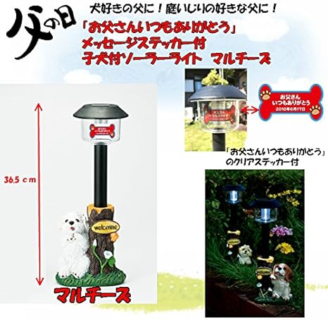 Amazon 父の日ギフトパッケージ 子犬付ソーラーライト メッセージ付 マルチーズ 置物ライト