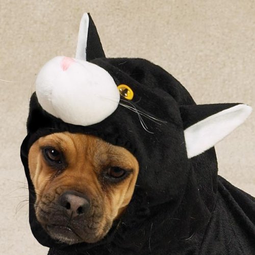Zack and Zoey Doggone Cat Costume Size Xsmall