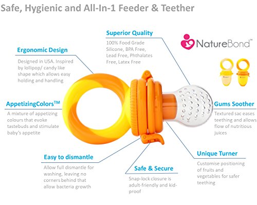 5 NatureBond+Baby+Feeder+Fruit+Pacifier