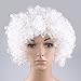 HÖTER Curly Afro Wig,Costume Wig,Clown Wig,Assorted Colour