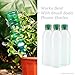Garden's Sister Water Spikes for Plants - Set of 6 Ceramic Watering Stakes
