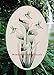 Lily & Hummingbirds Oval Etched Window Decal Vinyl Glass Cling - 8