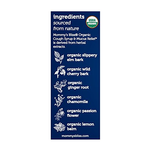 Mommy's Bliss Organic Baby Cough Syrup For Night Time, Herbal Supplement Made From Organic Agave, Wild Cherry, Slippery Elm Bark, & Chamomile, 1.67 fl.oz.