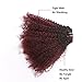 Ombre Remy Clip in Human Hair Extensions Afro Kinky Curly 4B 4C 100% Natural Black Hair Extensions 10-22 inch Two Tone T#1B/99J Burgandy Wine Red Full Head (12 inch, Ombre #1B/99J AC)