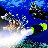 BlueFire 1100 Lumen CREE XM-L2 Professional Diving Flashlight, Bright Submarine Light Scuba Safety Lights Waterproof Underwater Torch for Outdoor Under Water Sports (Yellow)