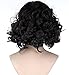 Diy-Wig Northern Snow King Wig Short Black Curly Cosplay Wigs for Men Cosplay Halloween Mens Costumes