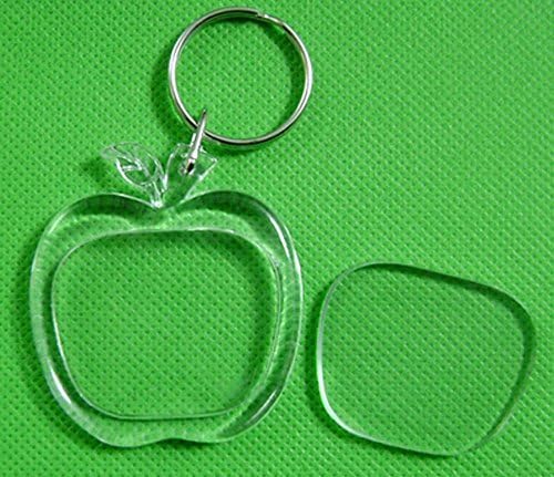 MOEUP Blank Transparent Insert Photo Picture Frame Keychain (Apple)