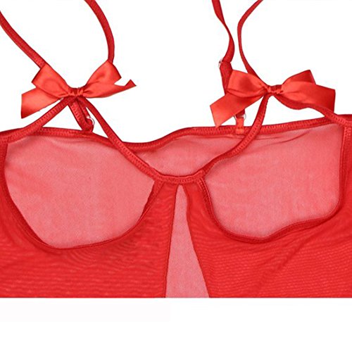 Ezfun Womens Seethrough Mesh Cupless Open Crotch Bust Lingerie with