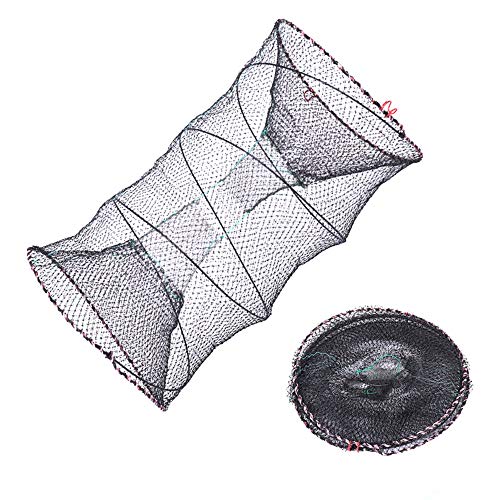 EASY BIG Portable Collapsible Crab Traps Foldable Crabbing Nets (Dia:11.8inches(30cm) Height:23.6inches(60cm))