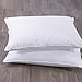 puredown Goose Feather and Down Bed Pillow, White, Set of 2, King Size