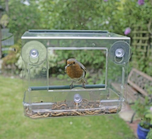 Rspb Window Bird Feeder Amazon Co Uk Garden Outdoors