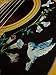 Assorted Hummingbird -Inlay Stickers Set- Abalone Blue