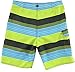 O'Neill Boys' Santa Cruz Stripe Boardshort